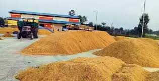 Odisha to Begin Kharif Paddy Procurement November 20