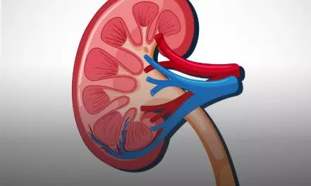 Kidney for Loan: Chandrapur Farmer Has One kidney: Police