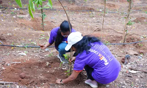 FedEx Plants 1,200 Trees At IIIT Hyderabad