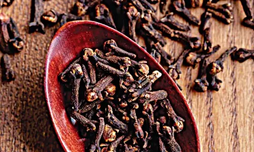 Clove At First Sight