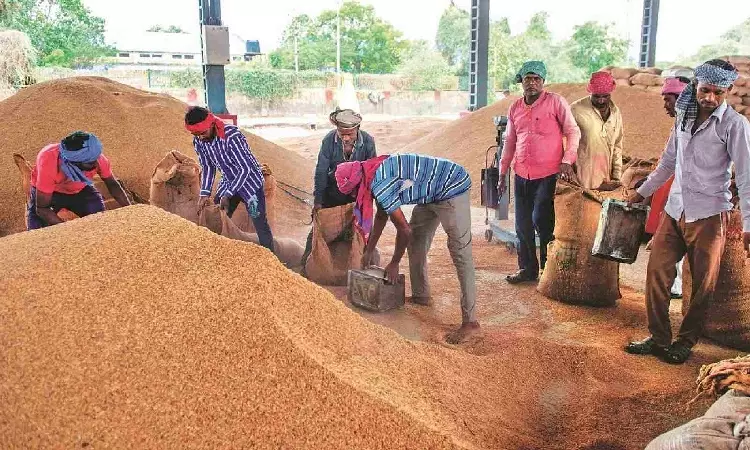 Odisha to Begin Kharif Paddy Procurement from Nov 20