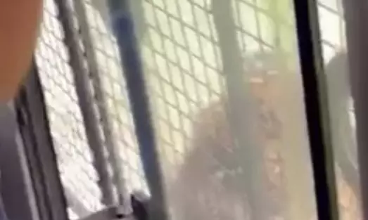 Leopard Attacks Woman in BBP Safari, Second Case Since June