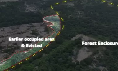 Pawan Kalyan Orders Probe Into Mangalam Peta Forest Encroachment