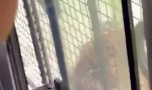 Leopard Attacks Woman in BBP Safari, Second Case Since June