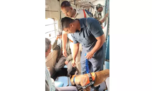 Prakasam Police Crack Down on Ganja Transport, 3 kg Seized