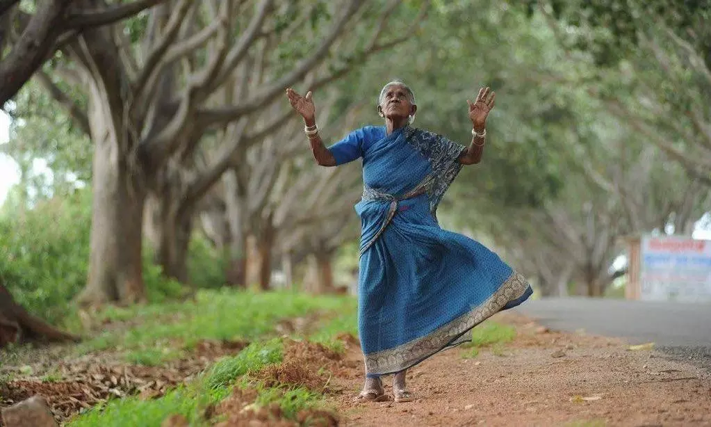 Saalumarada Thimmakka Dies At 114 Saalumarada Thimmakka Dies At 114