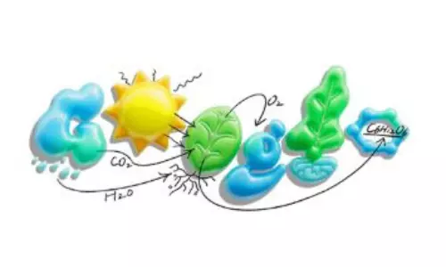 From DNA to Photosynthesis: Learning Biology With Google