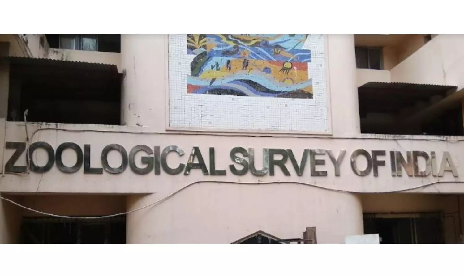 ZSI Scientists Discover New Gecko Species in AP