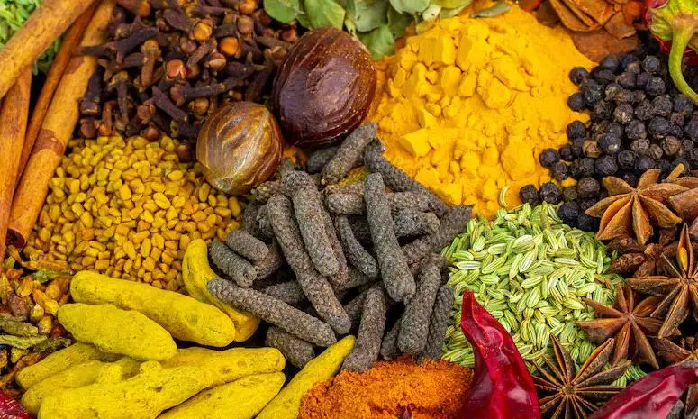 Indian Spice Exports to Benefit from US Tariff Exemption on Certain Agri Products
