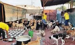 JUST SPAMMING | A Problem Doggedly Chasing Us Sans Solution