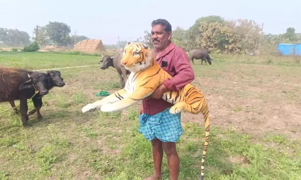 Villagers Carry Sticks, Sleep In fear As Monkey Attacks Rise