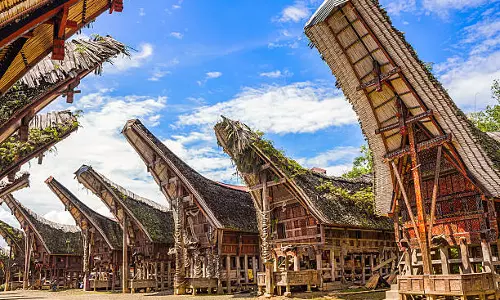 Why Does This Indonesian Tribe Preserve Its Dead Bodies?