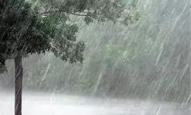 Heavy Rainfall Warning In TN, Govt. Asks Districts To Take Precautionary Measures