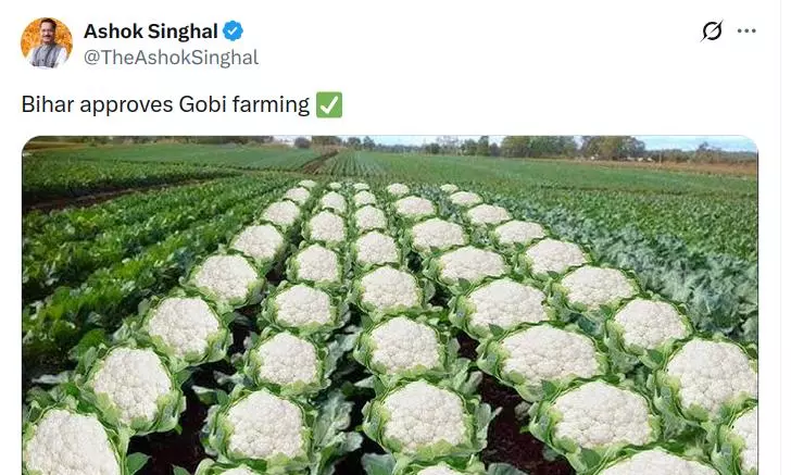 Use of Gobi Farming Imagery by Assam Minister Draws Opposition Ire