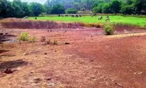 Telangana To Use 922 Acres Of Fab City