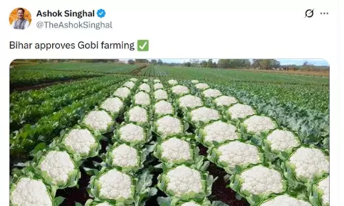 Use of Gobi Farming Imagery by Assam Minister Draws Opposition Ire