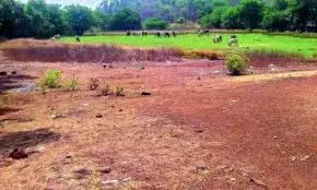 Telangana To Use 922 Acres Of Fab City