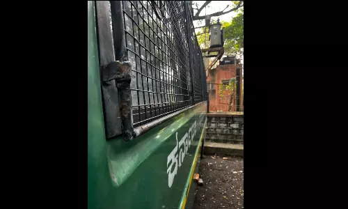 Safari Resumes In Bannerghatta Park With Added Safety Measures