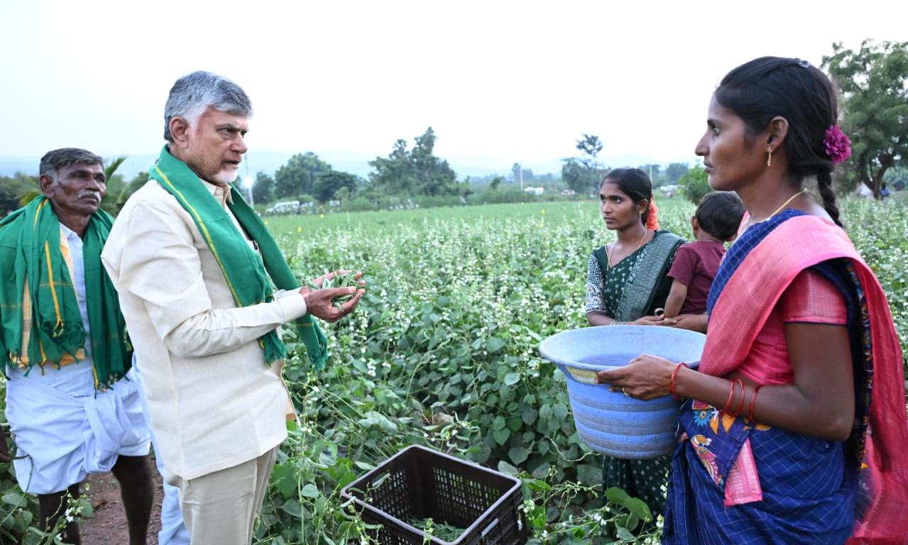 Naidu Boosts Farmers, Attracts $150B Investments; Tenant Farmers Protest