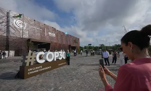 WWF, Greenpeace Demand Roadmap on Deforestation at UN COP30