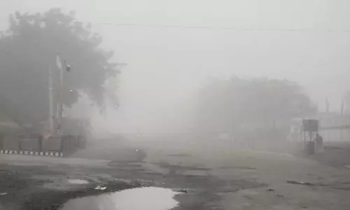 Fog In Adilabad Forests Lures Tourists