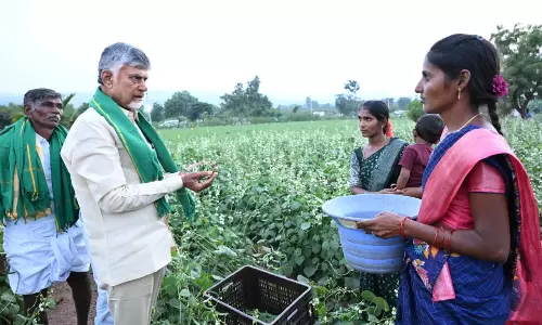CM Naidu Tells Telugu Farmers to Excel like IT Professionals
