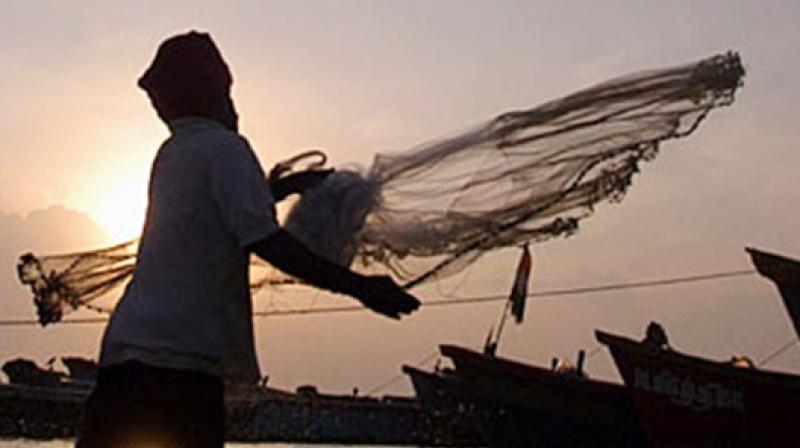 India Allows Deep-Sea Fishing, Boosting Vizag's Exports