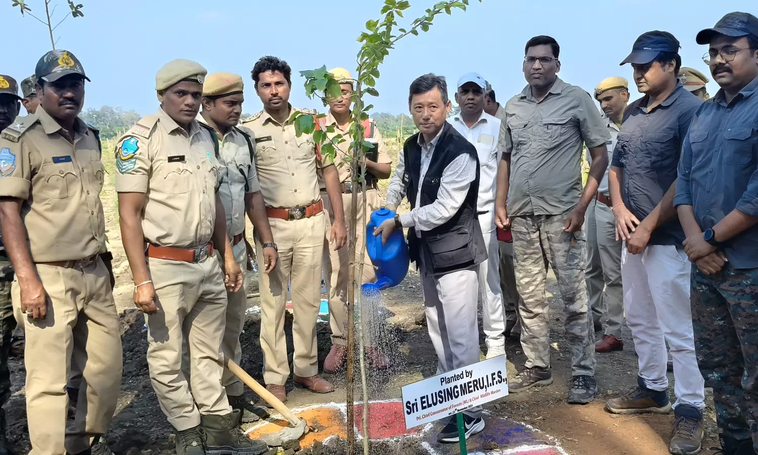 Tiger Corridor Strengthened After Forest Land Restored