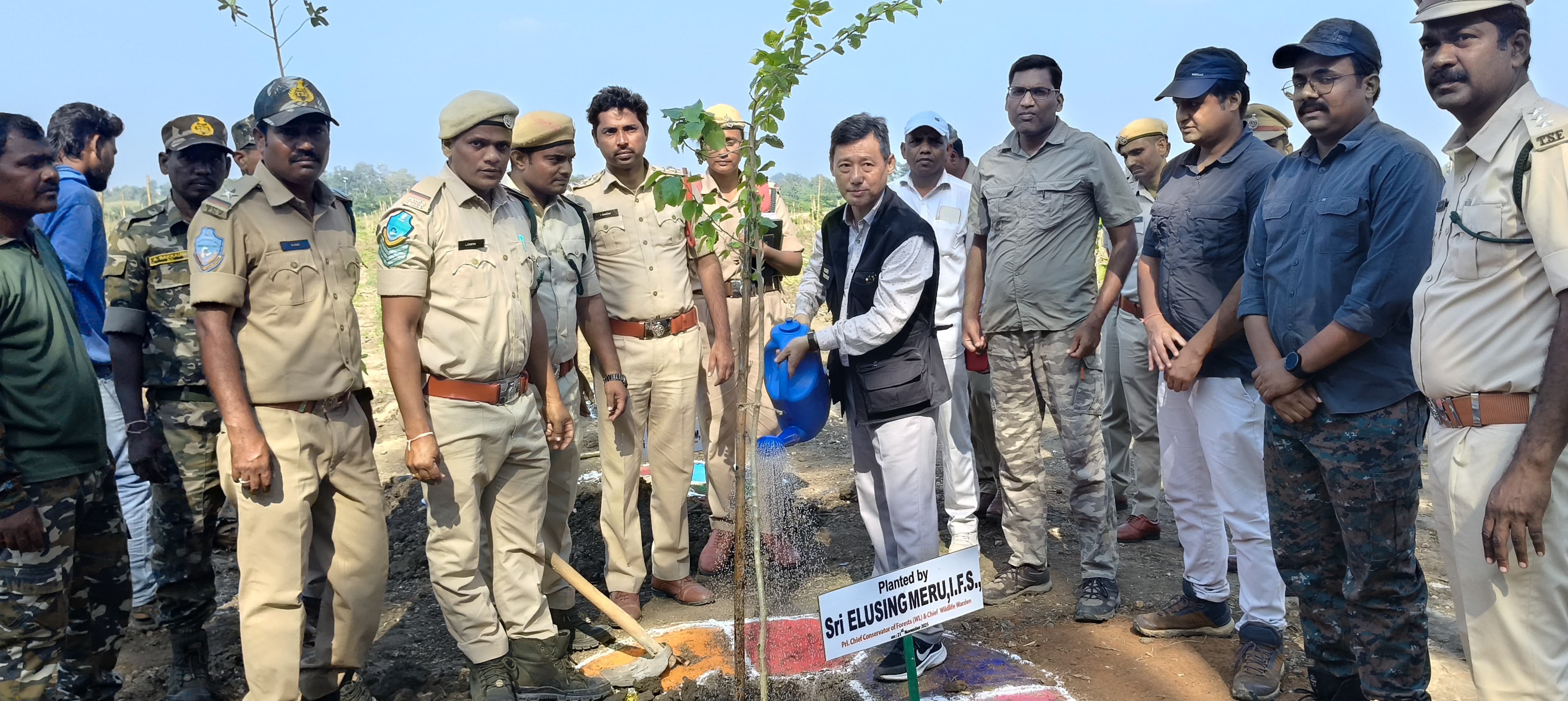 Tiger Corridor Strengthened After Forest Land Restoration