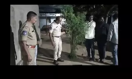 Youth Addicted to Ganja Caught Growing Cannabis at Home in Achampet