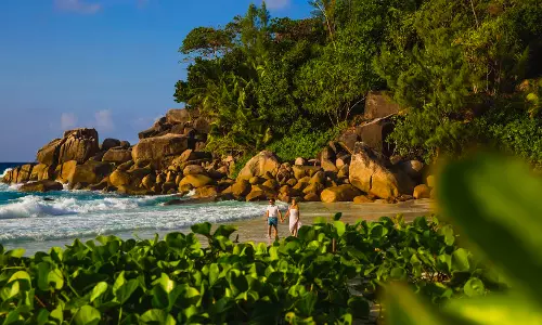 Stunning New Geography of Love for Modern Honeymooners