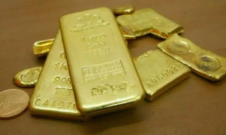 Gold Bars Robbed From Kerala Goldsmith Inside Bandipur Tiger Reserve