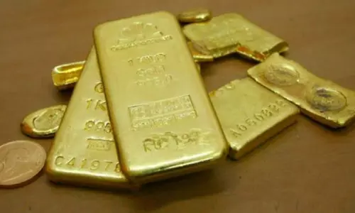 Gold Bars Robbed From Kerala Goldsmith Inside Bandipur Tiger Reserve