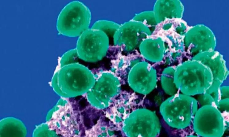 Study Maps Antibiotic Resistance Across Open Drains in Hyderabad