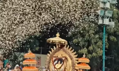 Swarna Ratham Procession To Mark Babas Birth Centenary Celebrations