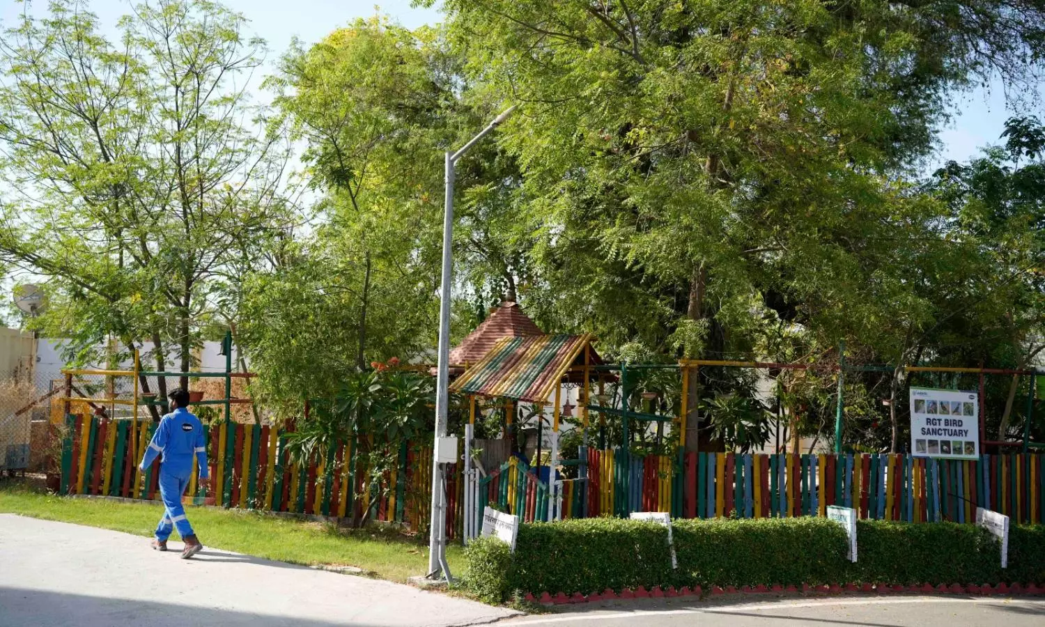 Cairn Reports 89,770 Tonnes of Carbon Emission Reduction in FY25 - Equivalent to Planting 4.5 Million Trees/Year