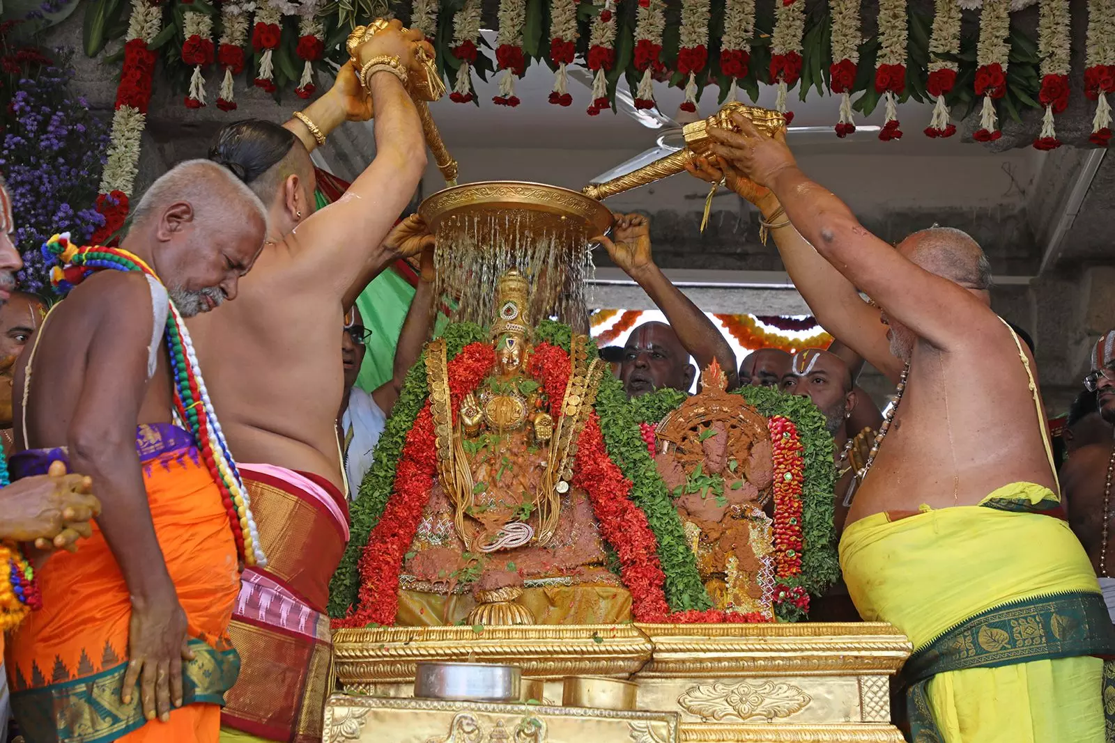 Grand Finale of Tiruchanoor Brahmotsavams Today Grand Finale of Tiruchanoor Brahmotsavams Today