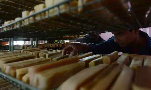 Arunachals Yak Churpi Gets GI Tag