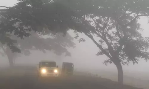 AP May Have Cold Waves This Winter AP May Have Cold Waves This Winter