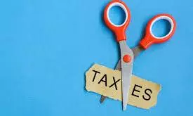 Tax Cuts In Current Fiscal Reduce Revenue Growth