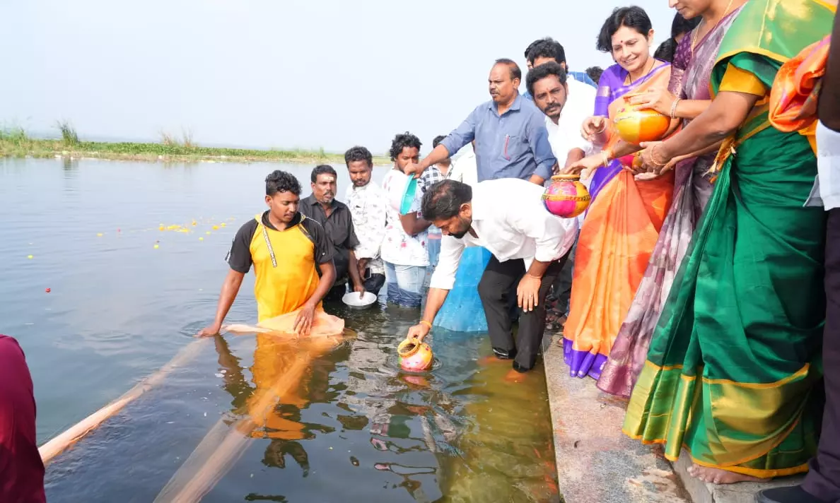 Fish Seed Drive To Aid 400 Nellore Families