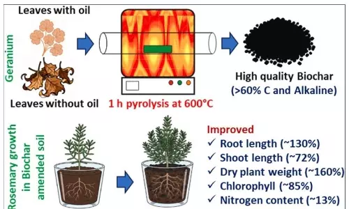 UoH Sustainable Solution: Biochar From Waste
