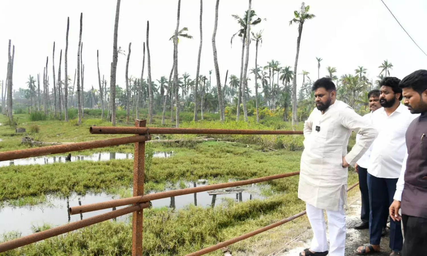 Pawan Kalyan Promises Action Plan to Resolve Issues of Coconut Farmers in Konaseema
