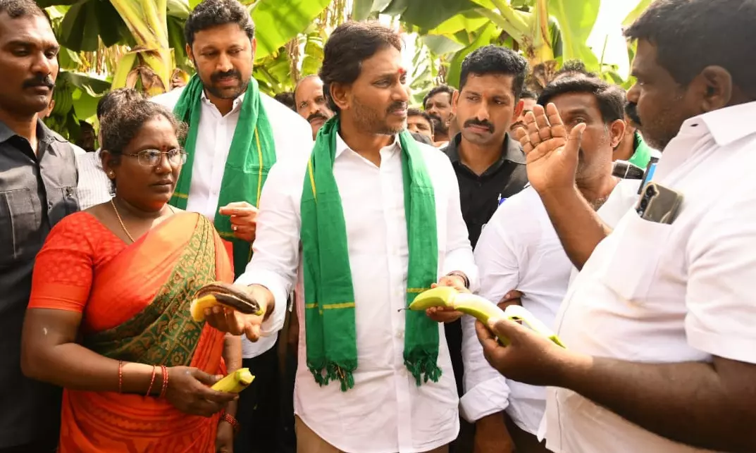 Jagan Slams Naidu For ‘Betraying Farmers, Wrecking Agrarian Economy’