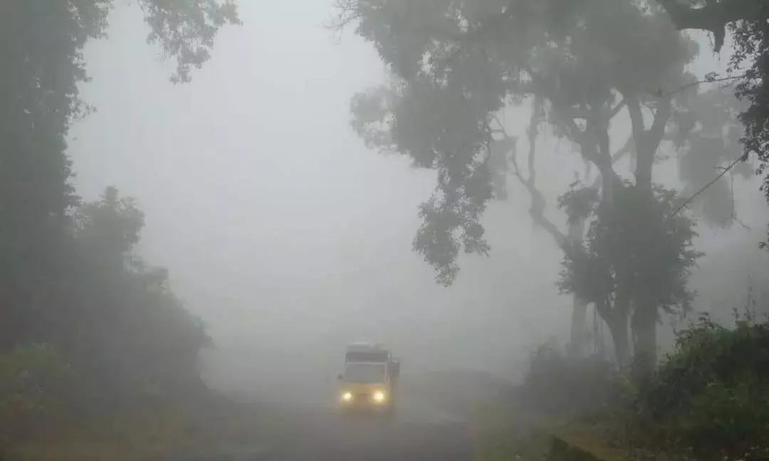 Temperature Dips to 8ºC In Adilabad