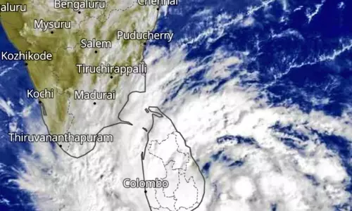 Cyclone Ditwah: Stalin Calls For Coordination Between Departments