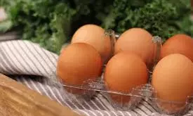 Fruitful Advice For Getting The Most From A Refrigerator And Making Groceries Last Longer