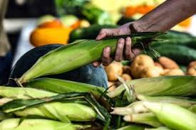 Climate-Friendly Groceries Beyond Supermarkets