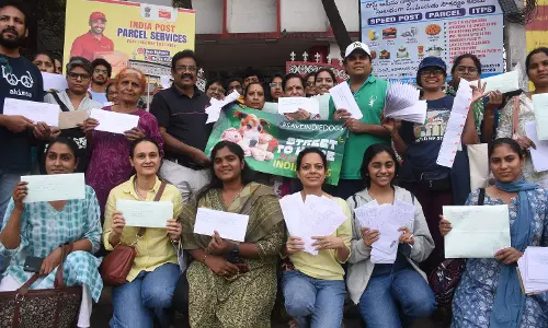 Animal Lovers Launch Letter Drive To Revisit SC Stray Dog Order