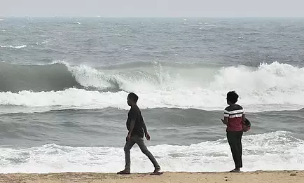 Cyclone Ditwah: Three Dead in Rain-Related Incidents in Tamil Nadu
